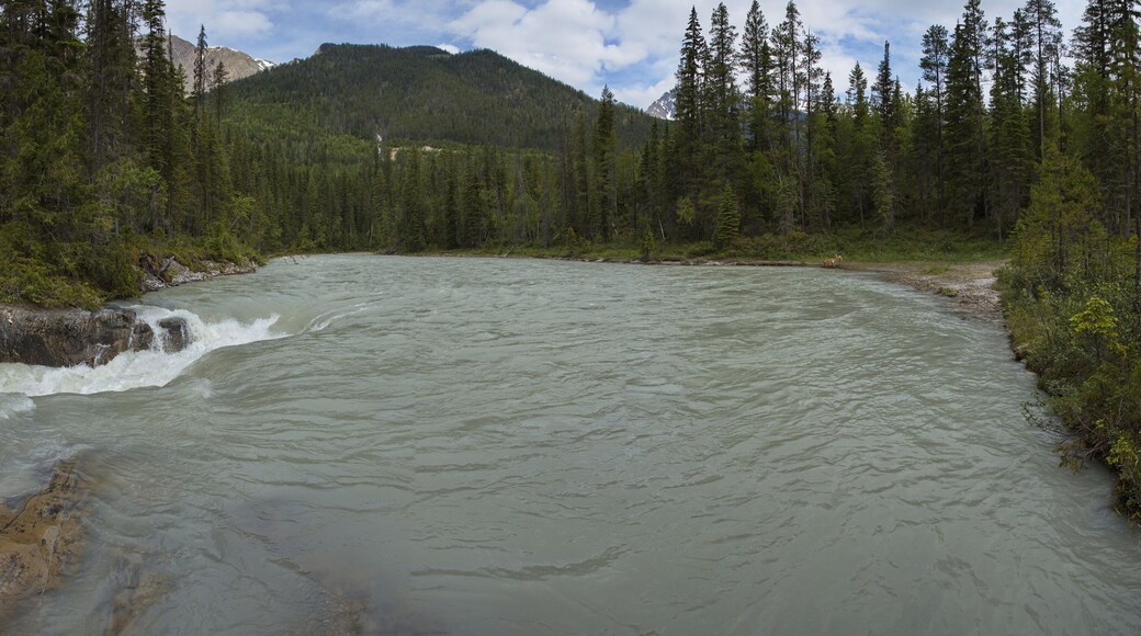 Thompson Falls on Blaeberry River in British Columbia,Canada,North America