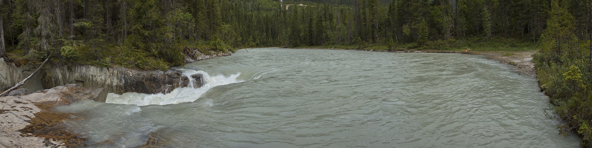 Thompson Falls on Blaeberry River in British Columbia,Canada,North America