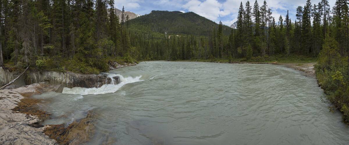 A river flowing through a forest with a mountain in the background.