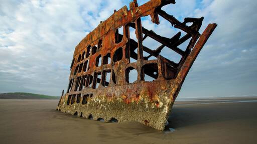 When visiting the wreck of the Peter Iredale take time to notice the kaleidoscopic colors of rust and moss.