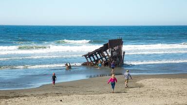 Hammond, Oregon; Tourists inspecting the remains of the wreck of the sailing ship, the Peter Iredale, on the beach at Fort Stephens State park in Oregon.