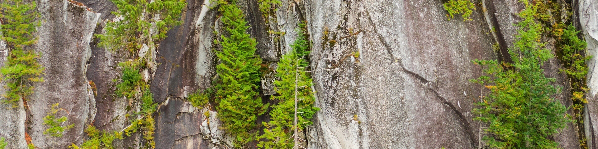 Stawamus Chief Provincial Park showing mountains