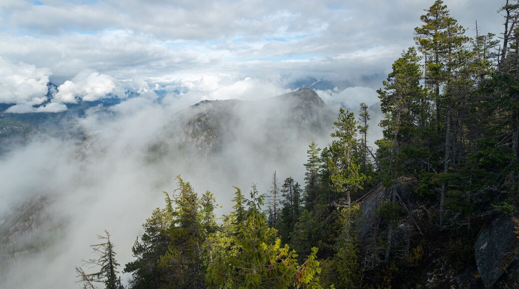 Stawamus Chief Provincial Park featuring landscape views, mist or fog and mountains