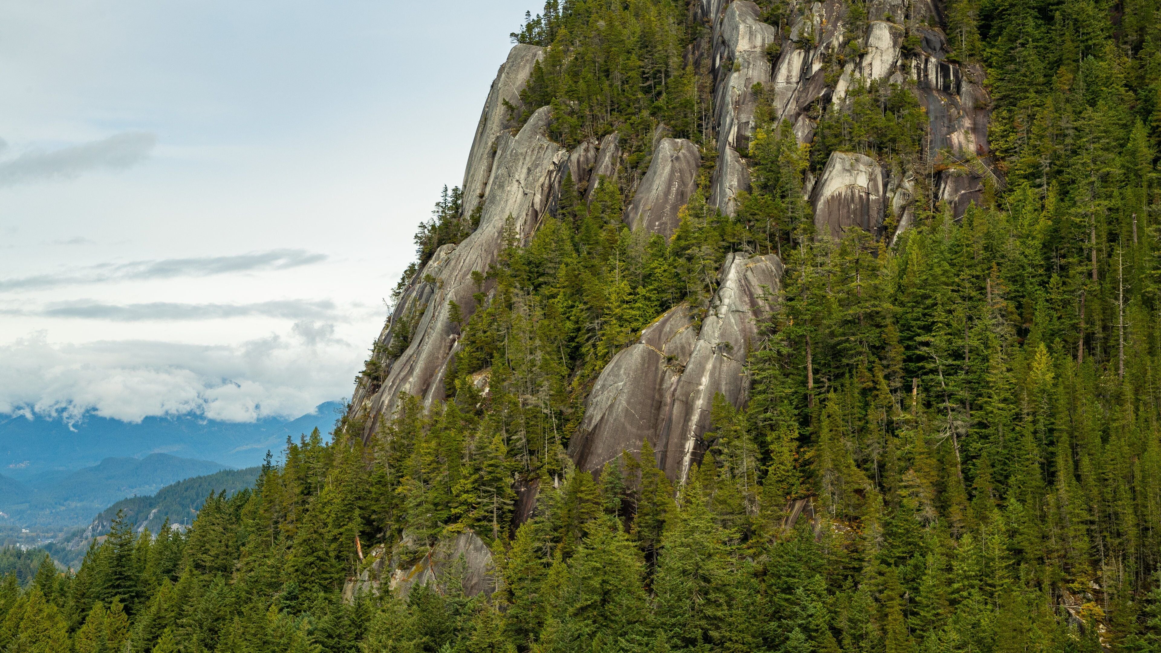 Stawamus Chief Provincial Park which includes mountains and forest scenes