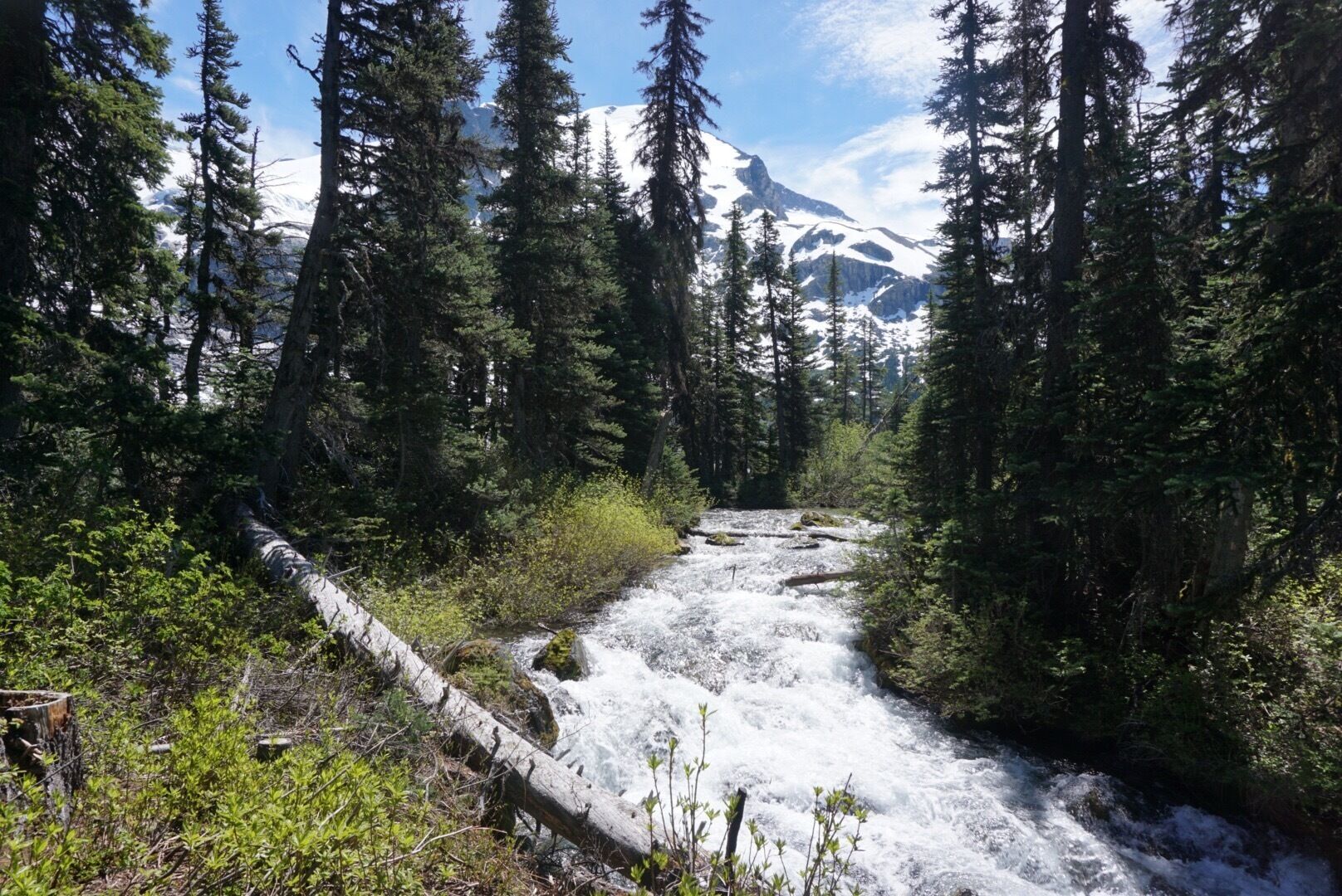 Beautiful scenery on the way to the Upper Joffre Lake
#canada #joffrelakes