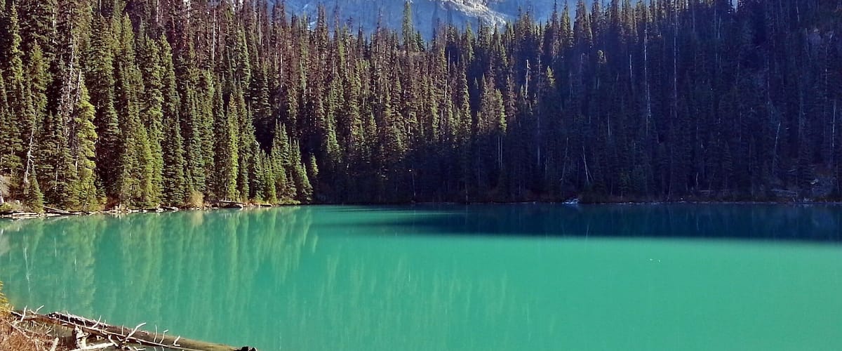 Middle Joffre Lake. A lot of uphill on this hike but worth it for views like this. Just a bit further and you'll reach upper Joffre Lake and the Matier glacier above.
