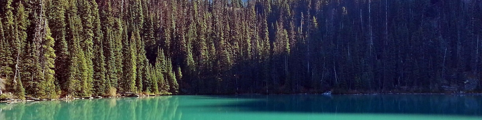 Middle Joffre Lake. A lot of uphill on this hike but worth it for views like this. Just a bit further and you'll reach upper Joffre Lake and the Matier glacier above.