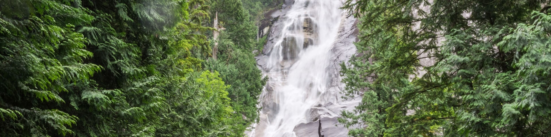 Una cascada rodeada de un bosque verde y frondoso.