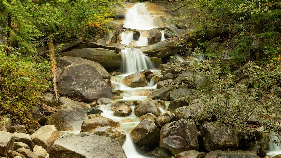 Shannon Falls Provincial Park which includes a river or creek