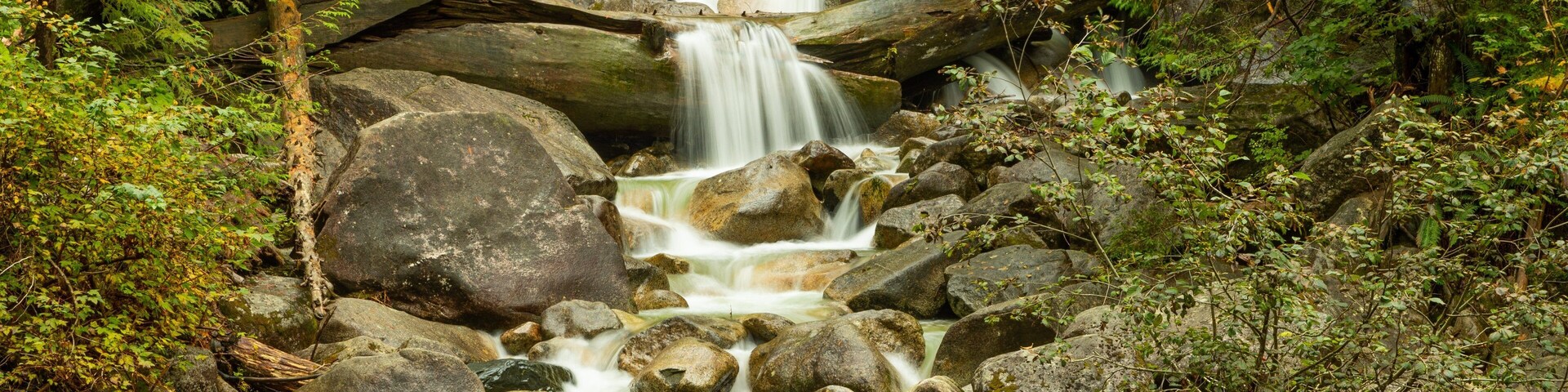 Shannon Falls Provincial Park which includes a river or creek