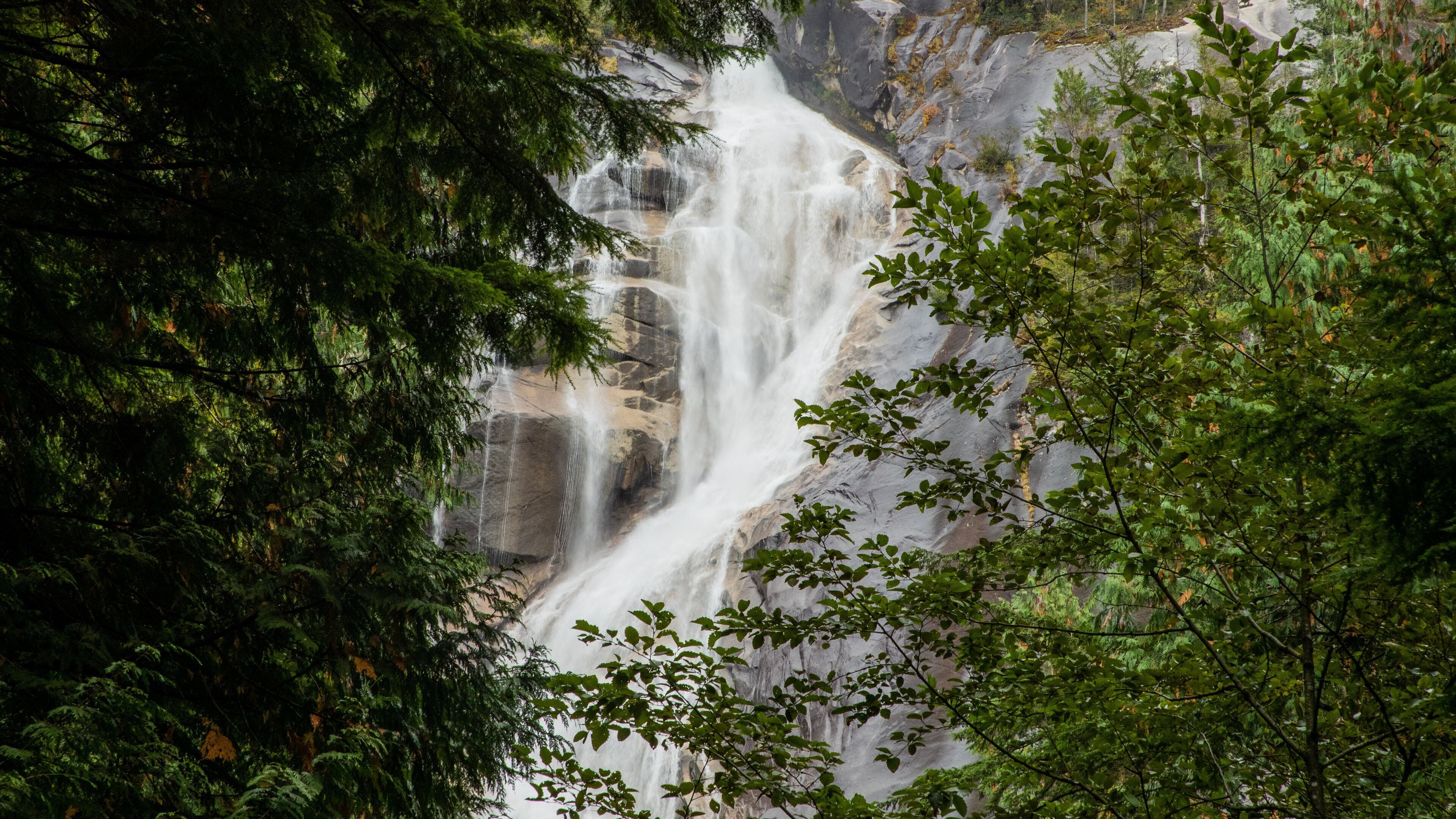 Shannon Falls Provincial Park showing a waterfall