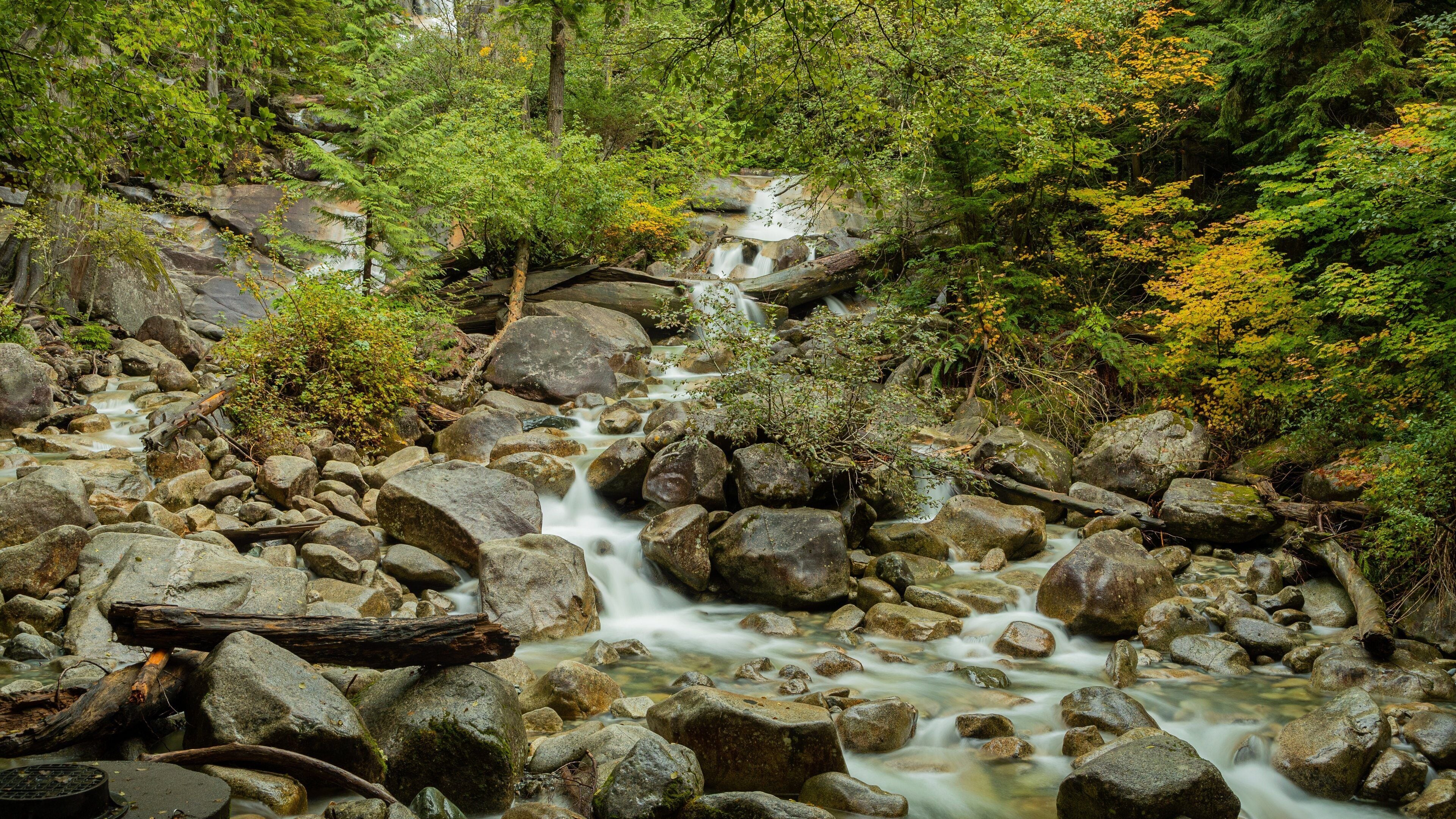 Shannon Falls Provincial Park featuring a river or creek and forest scenes