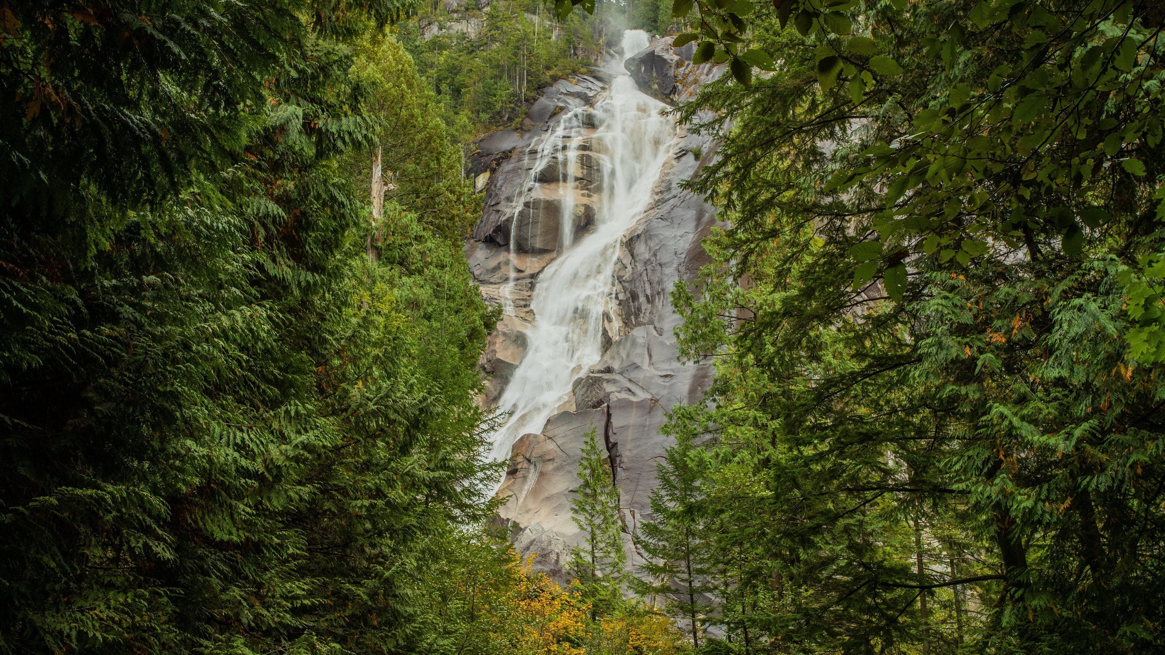 Shannon Falls Provincial Park which includes forests and a cascade