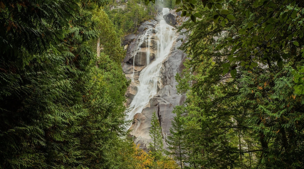 Shannon Falls Provincial Park which includes forests and a cascade