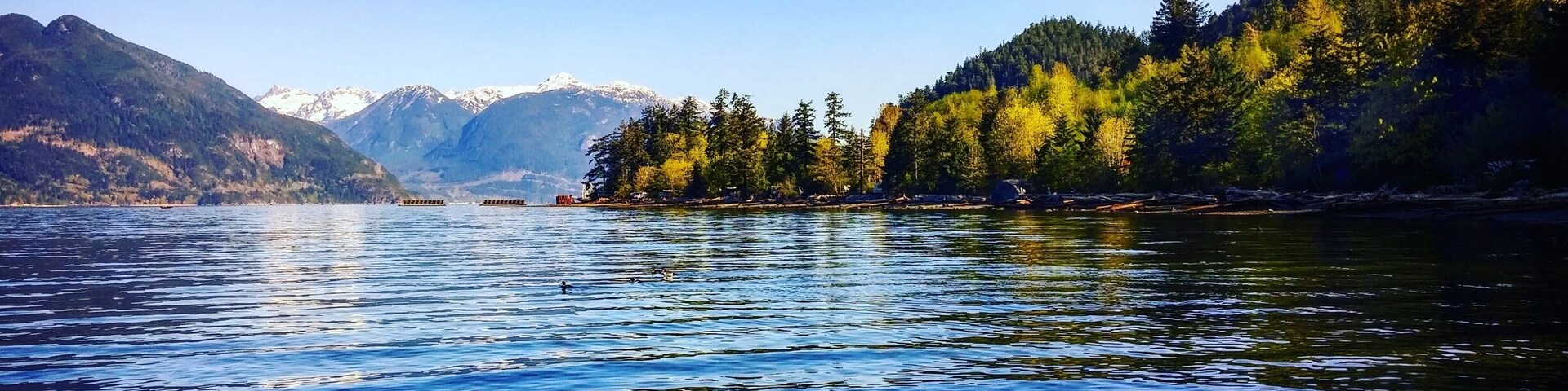 Porteau Cove is a campground located between Vancouver and Squamish. The park itself is quite small and is okay if your looking for cheep accommodations close to Vancity. The park is adjacent to 99 Hwy and CN Rail so it is not a place to go to if your looking for quiet and solitude. Although the park is quite pretty there isn't a whole lot to do in the park itself, but there are several neighbouring hotsporlts close by such as the Sea to Sky Gondola in Squamish, the Mine Museum and more. #blue