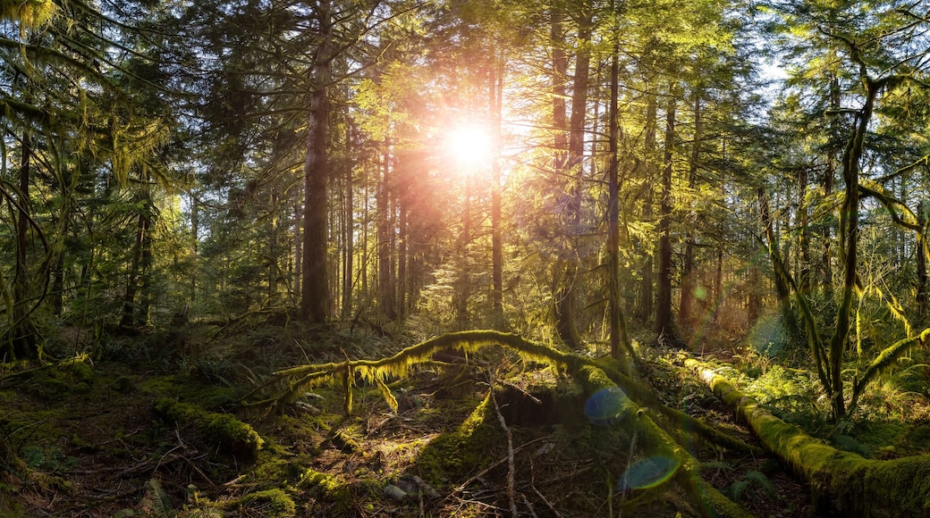 Alice Lake provinspark