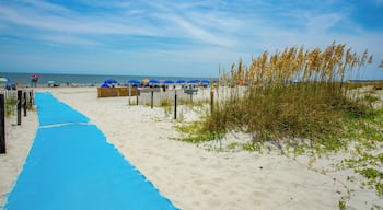 HiltonHeadIsland_FollyFieldBeachPark_6300724_0005