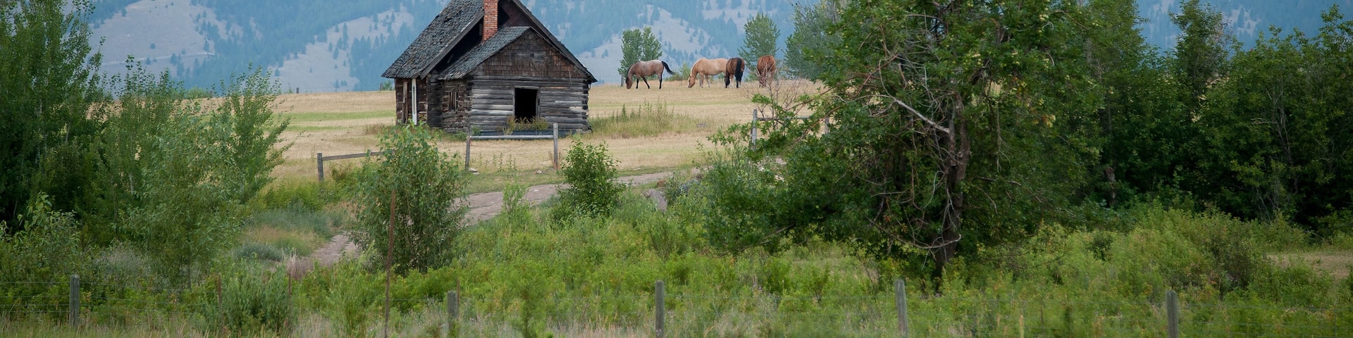Abandoned cabin, grazing horses, and mountains