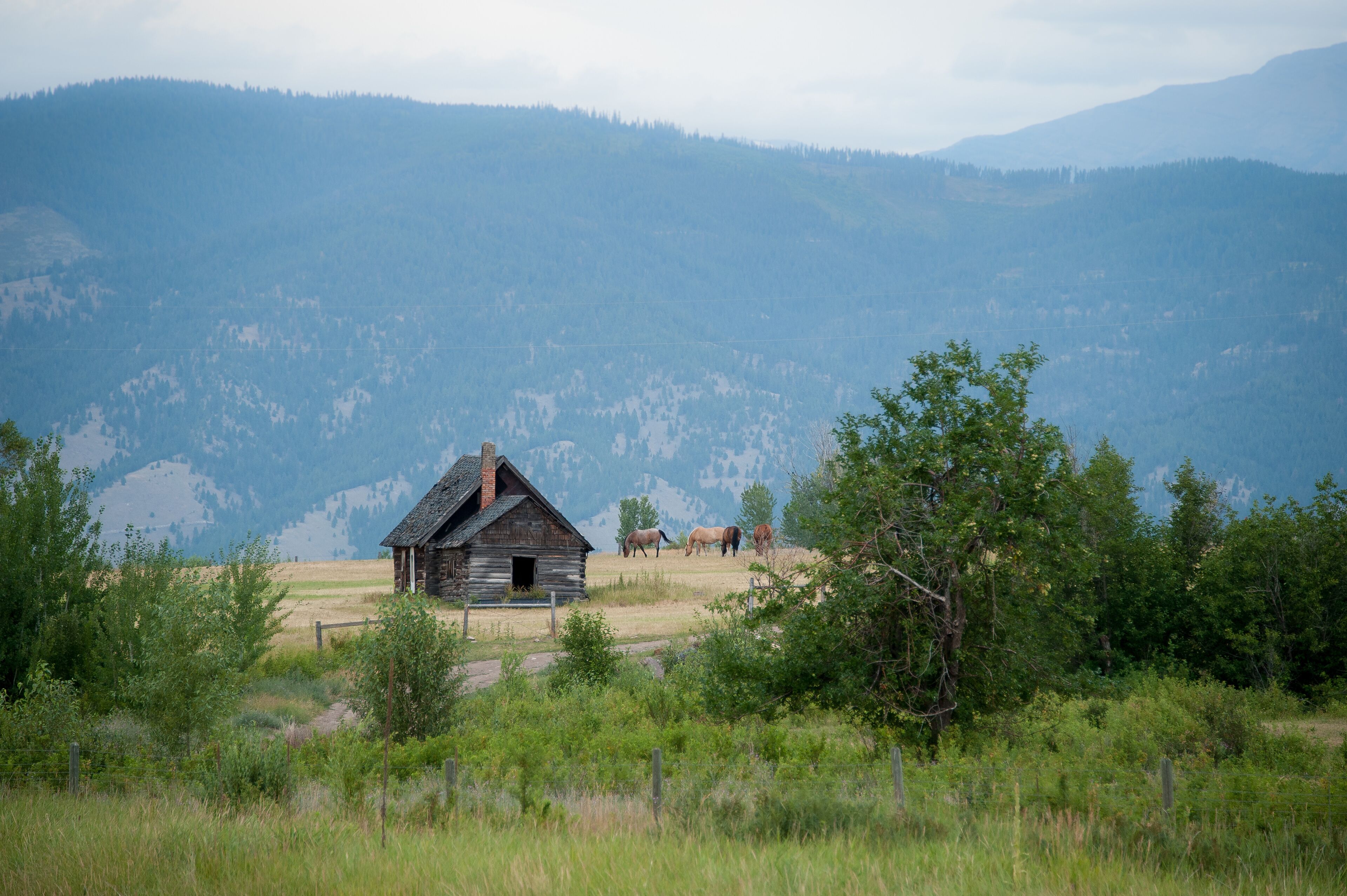 A rustic log cabin in a grassy field with mountains in the background.
