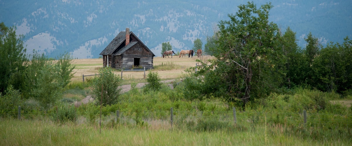 A rustic log cabin in a grassy field with mountains in the background.
