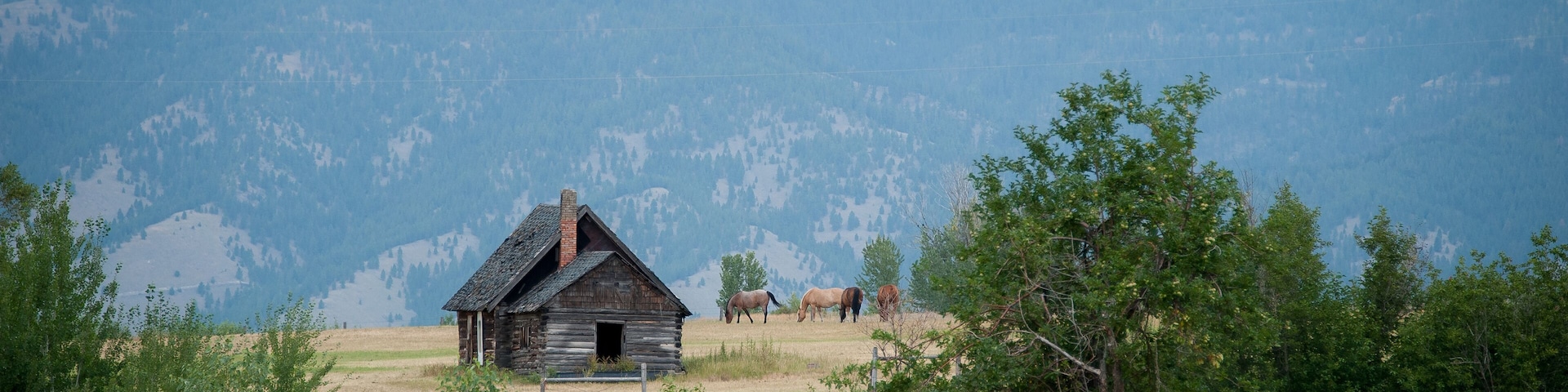 A rustic log cabin in a grassy field with mountains in the background.
