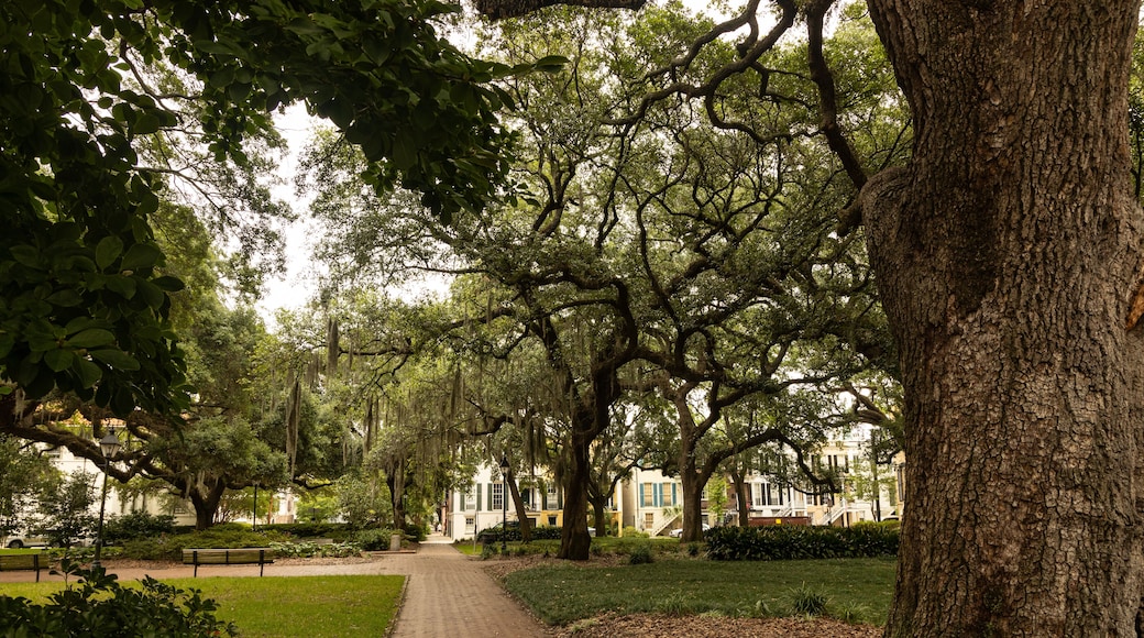 Chatham Square in Savannah in Georgia