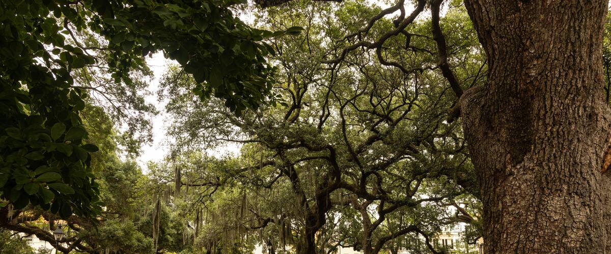 Chatham Square in Savannah in Georgia