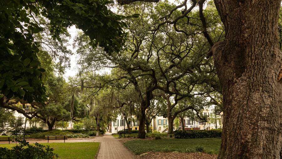 Chatham Square in Savannah in Georgia