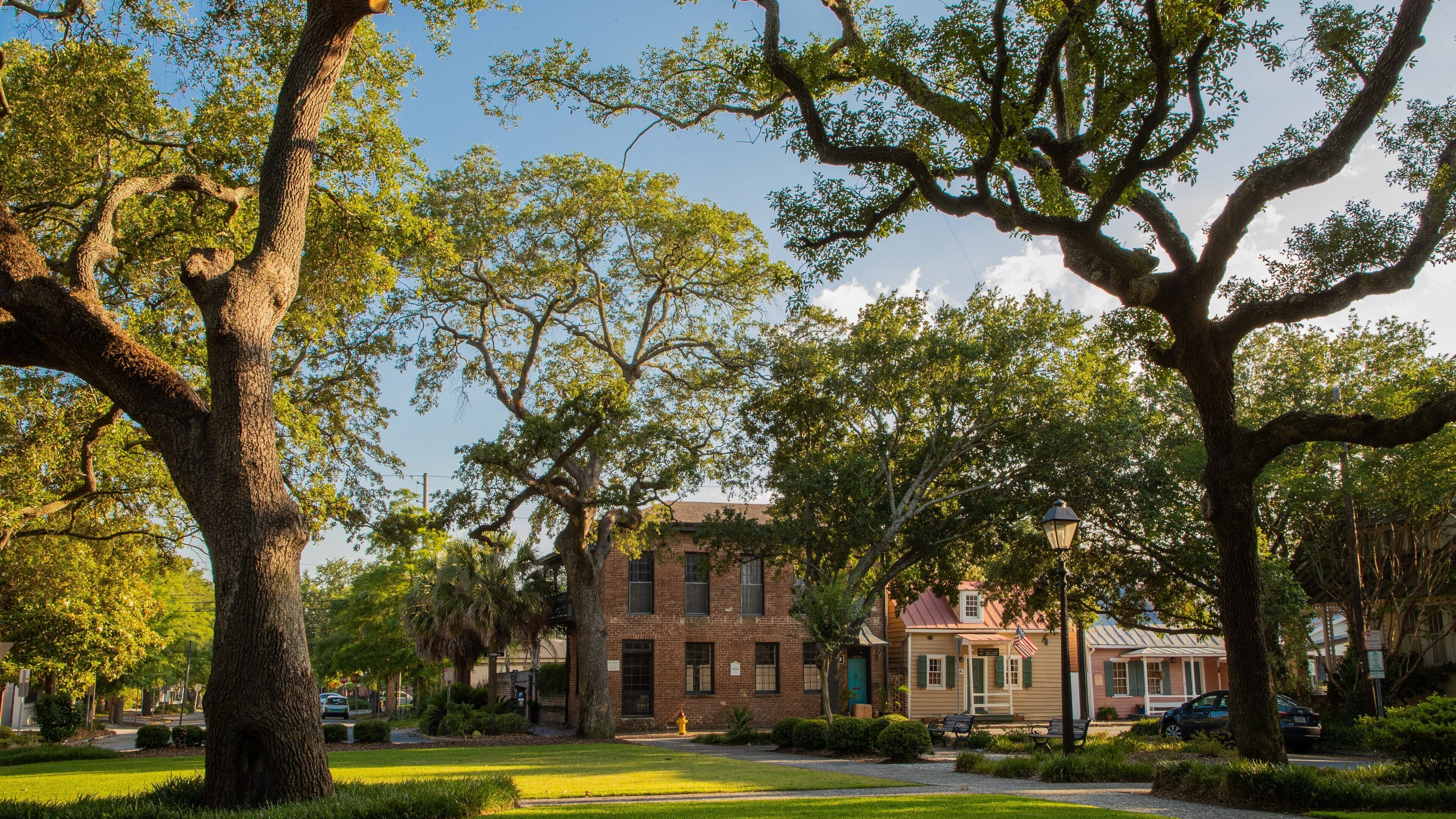 Greene Square which includes a garden