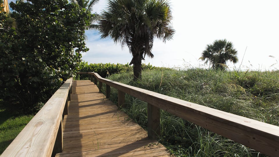 CapeCanaveral_CherieDownPark_6300841-3