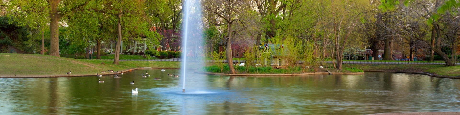 Lafayette Square showing a park, a sunset and a fountain