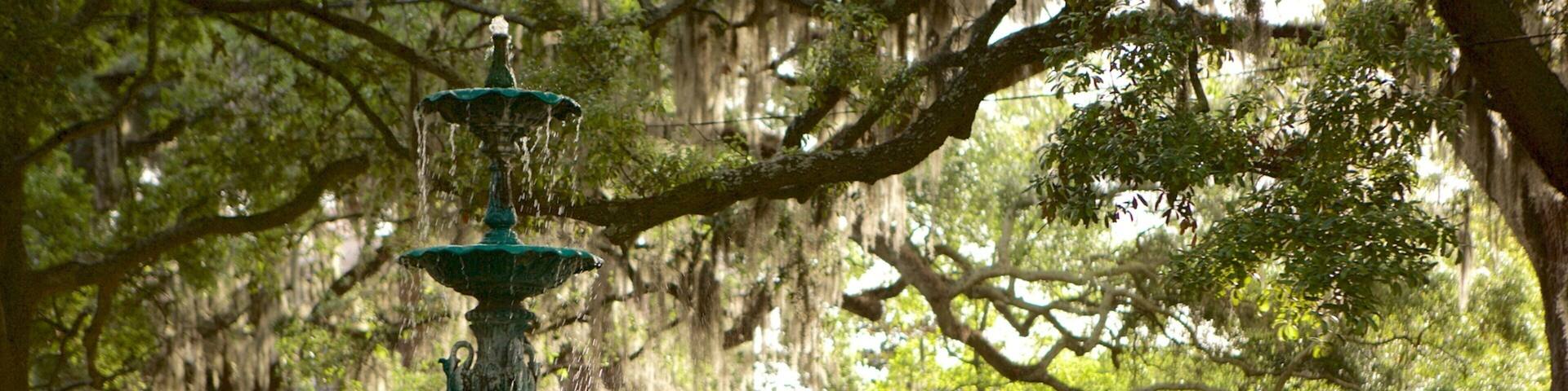 Lafayette Square featuring a garden and a fountain