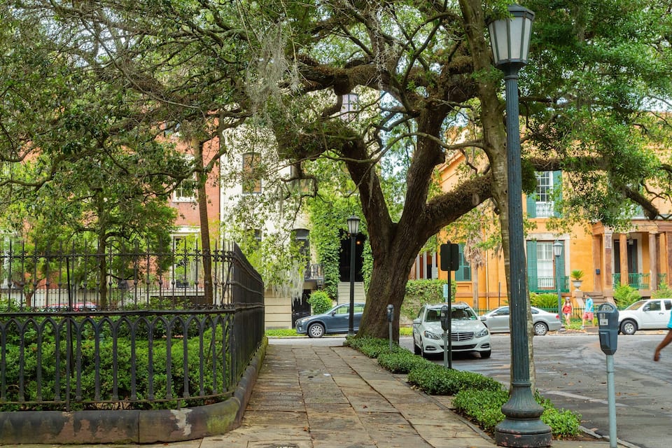 A tree-lined sidewalk with a wrought iron fence, a street lamp, and parked cars.