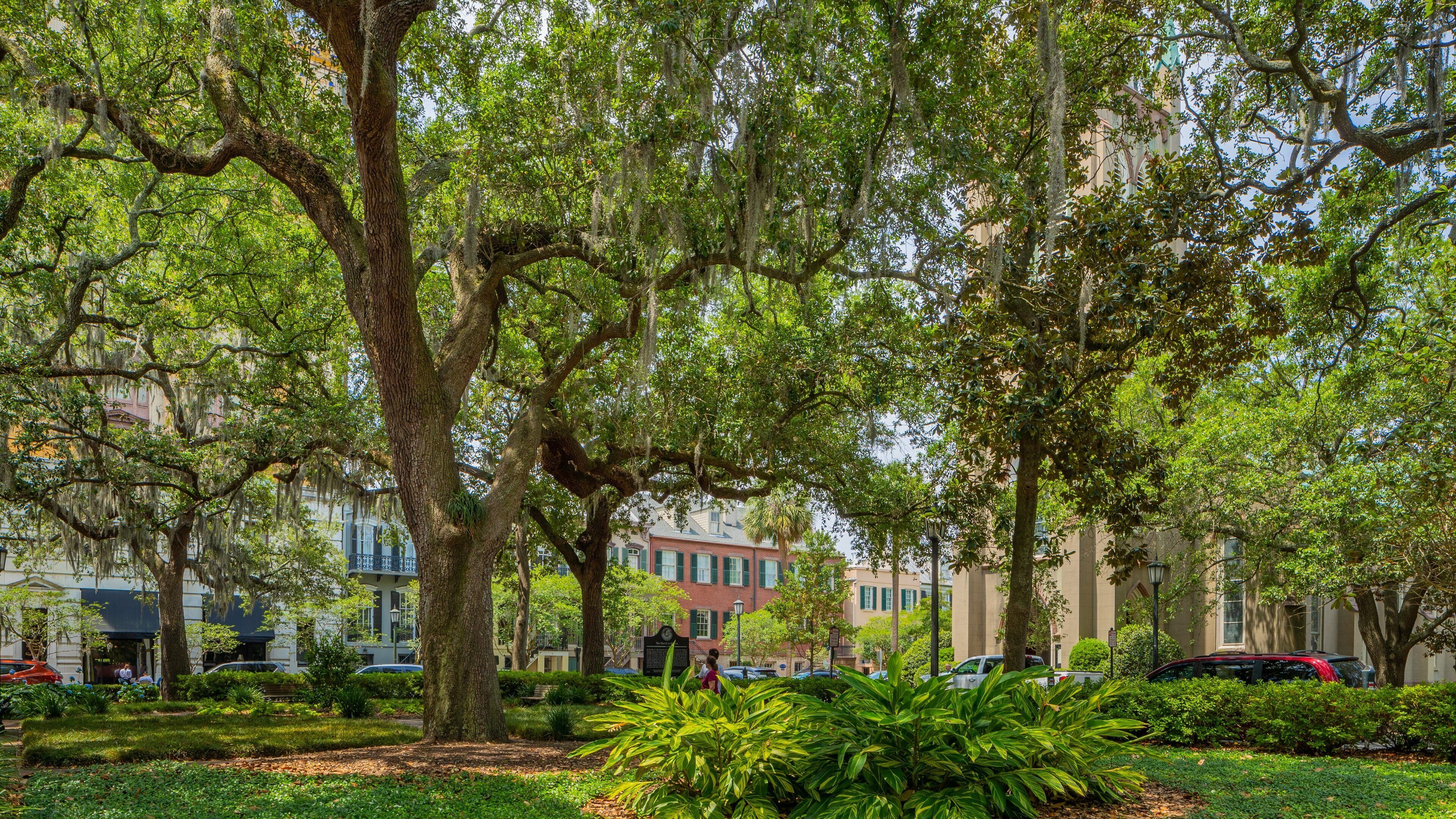 Historic Downtown Savannah showing a park