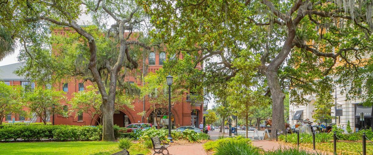 Madison Square which includes a garden