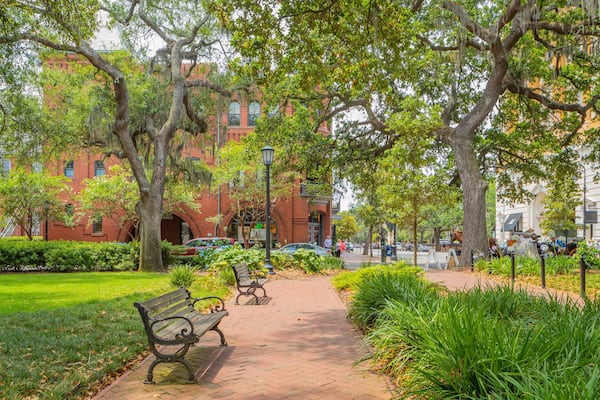 Madison Square which includes a garden