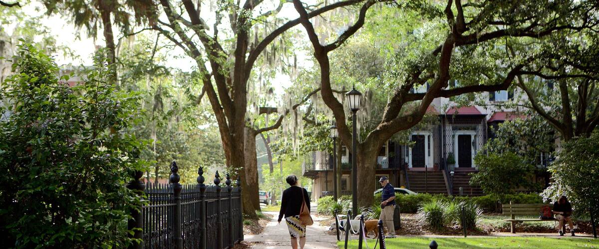 ๋ชฌํฐ๋ ์ด ๊ด์ฅ ์ ํน์ง ์ ์