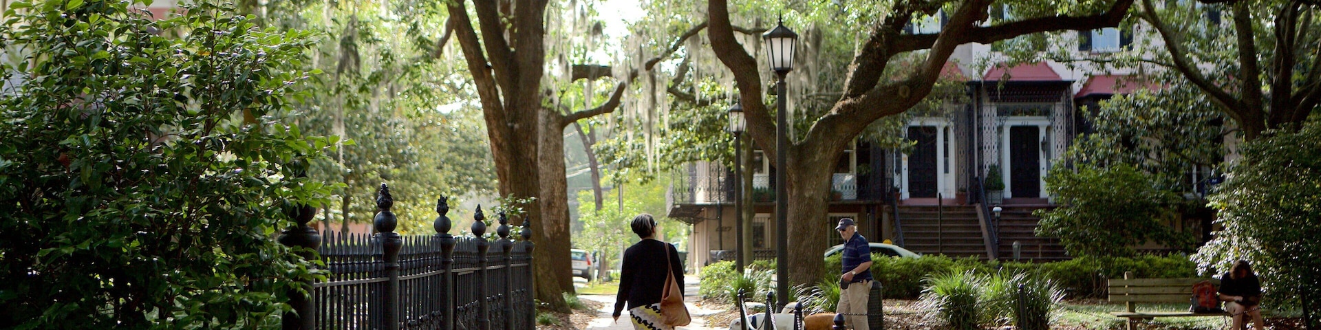 몬터레이 광장 을 특징 정원