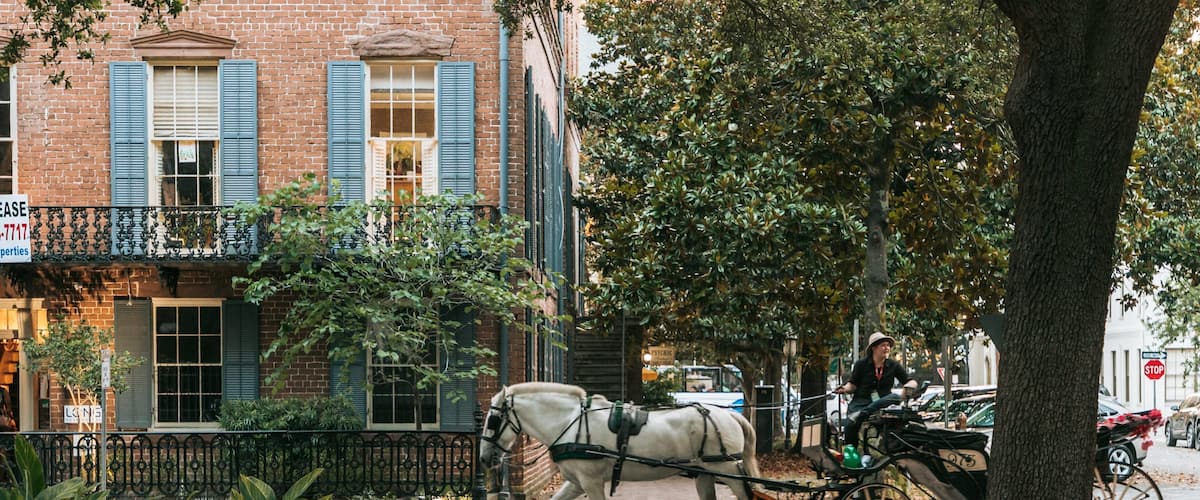 Oglethorpe Square which includes horseriding, heritage elements and street scenes