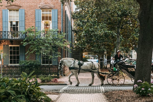 Oglethorpe Square which includes horseriding, heritage elements and street scenes