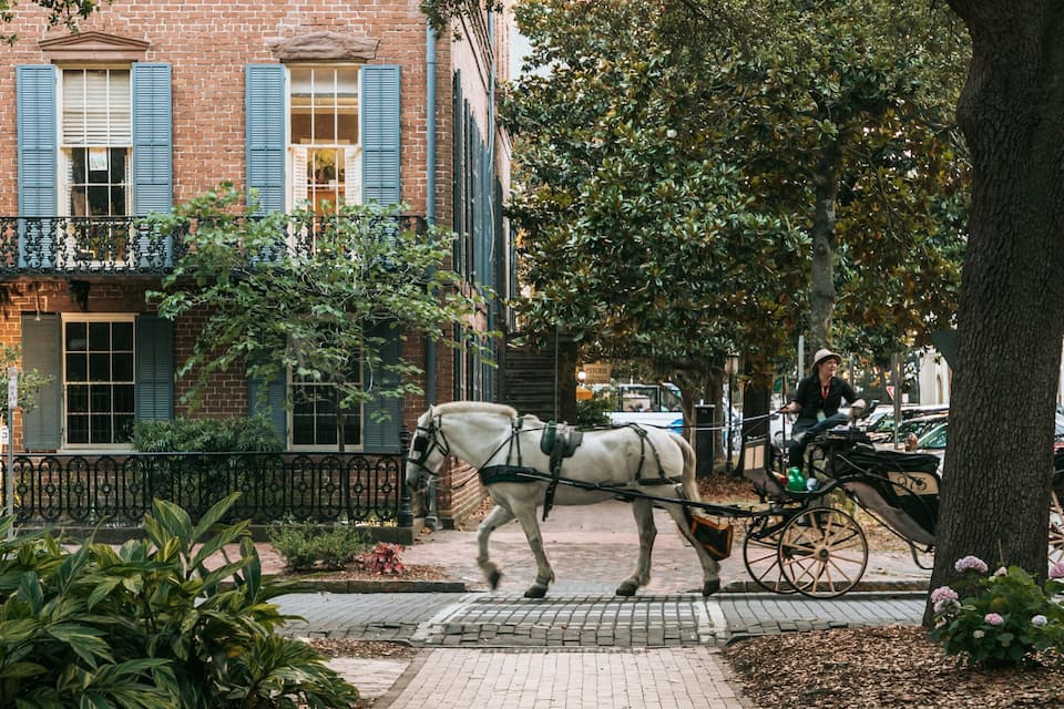 A horse-drawn carriage on a city street with brick buildings and green foliage.