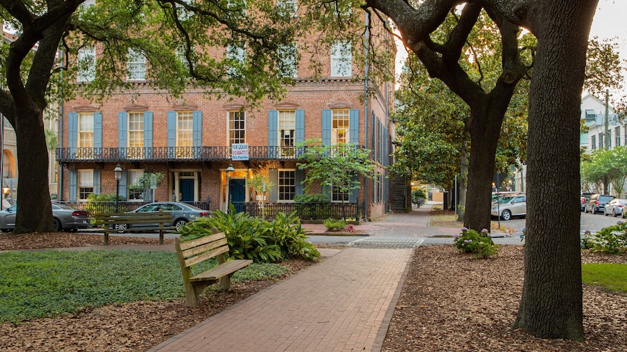 Oglethorpe Square showing a park