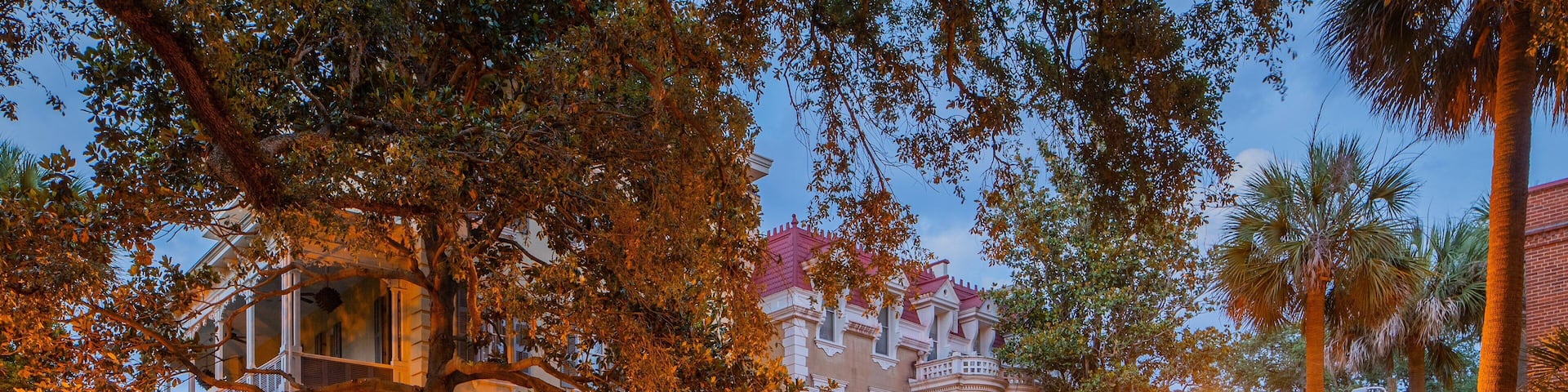 Pulaski Square featuring night scenes