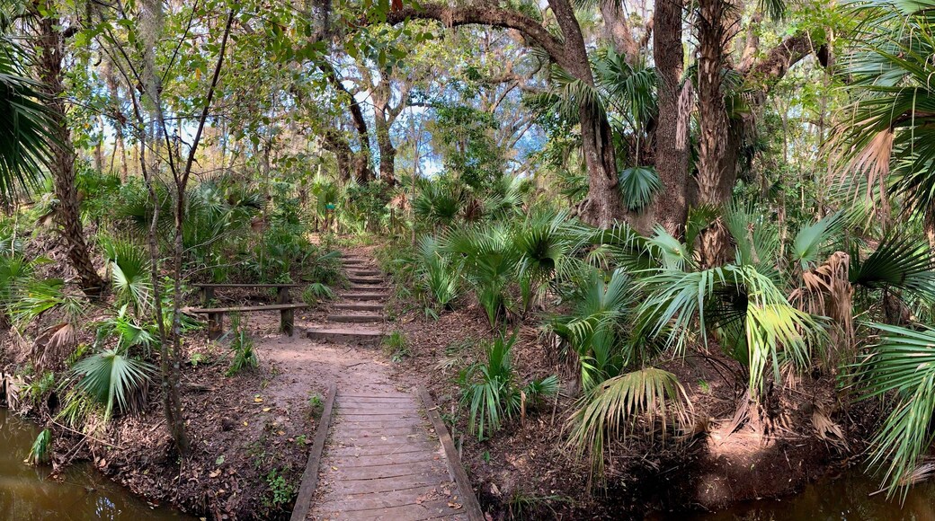 Enchanted Forest naturvernområde