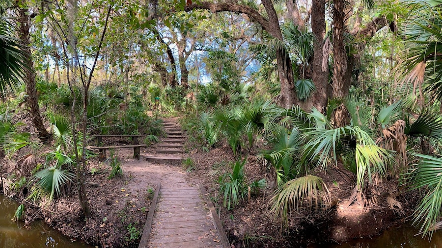 Kawasan Perlindungan Enchanted Forest