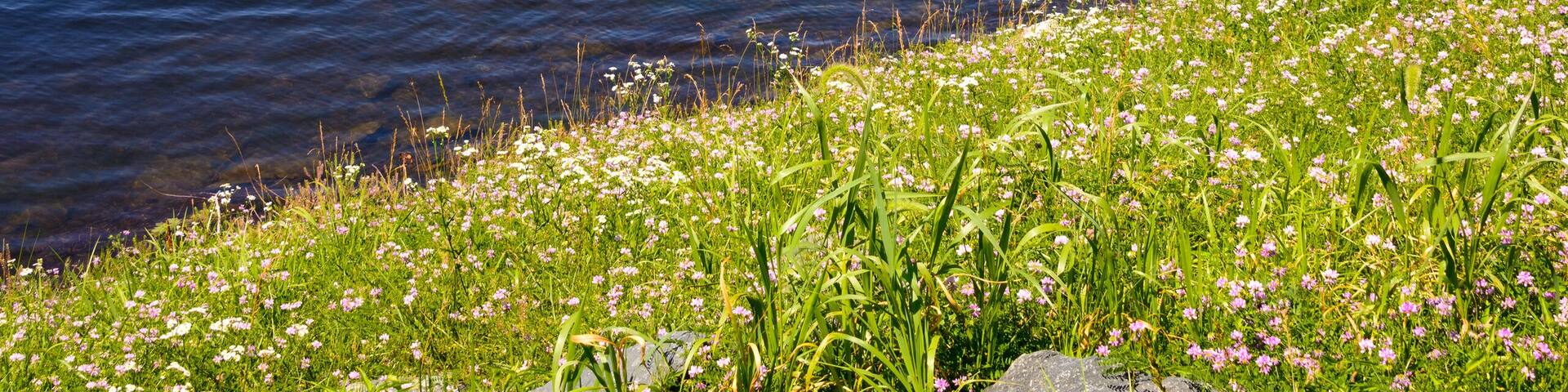 Cunningham Falls State Park
