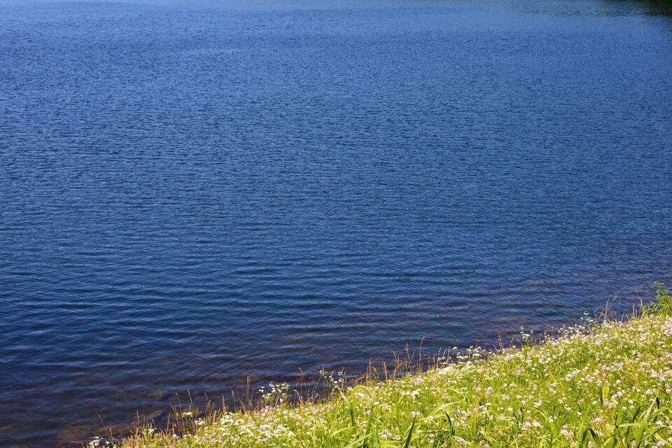 A lake surrounded by green hills and a grassy shoreline with flowers.