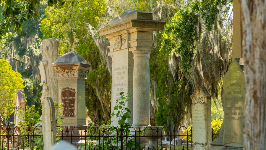 Laurel Grove North Cemetery