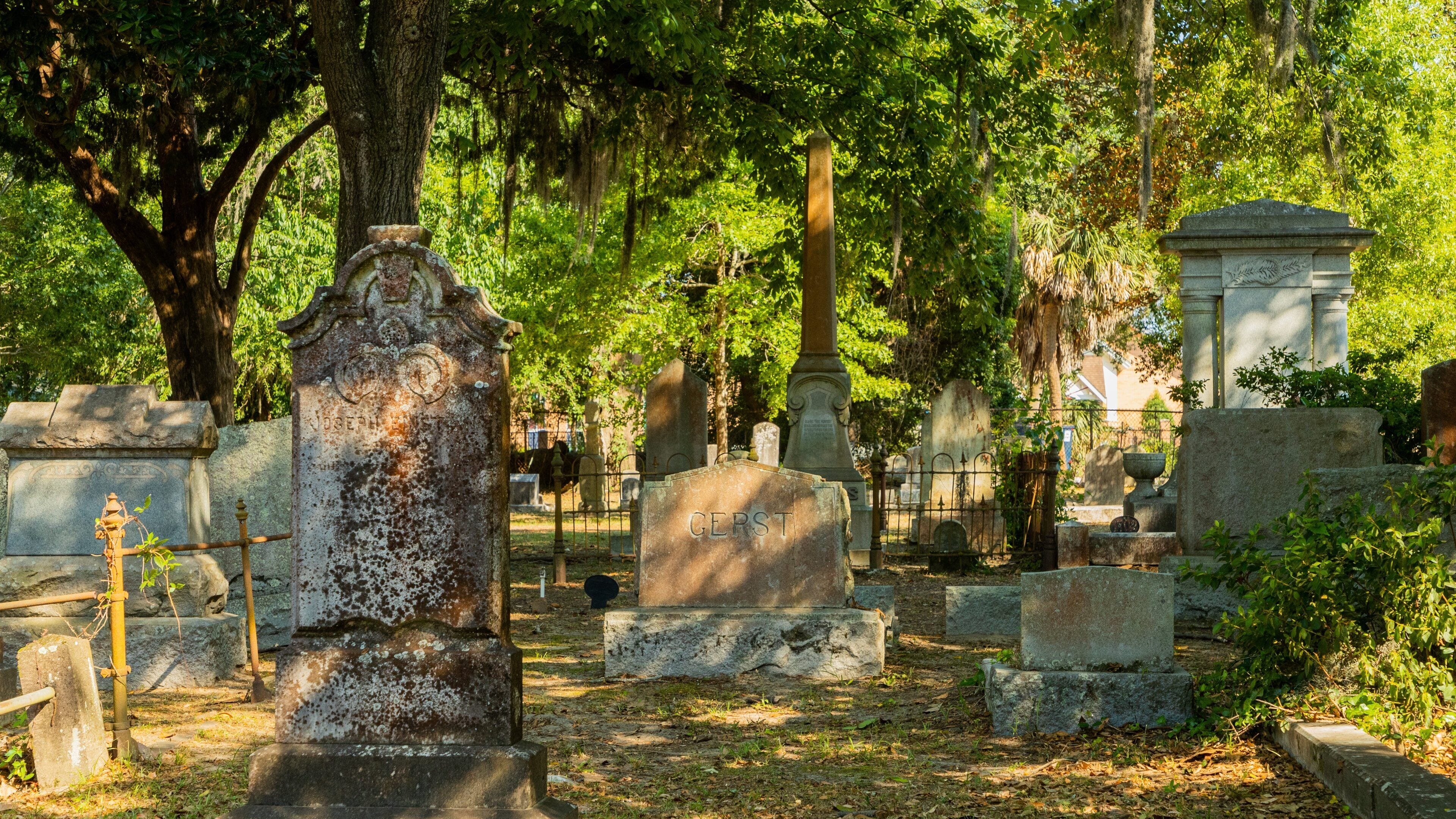 Laurel Grove North Cemetery showing a cemetery