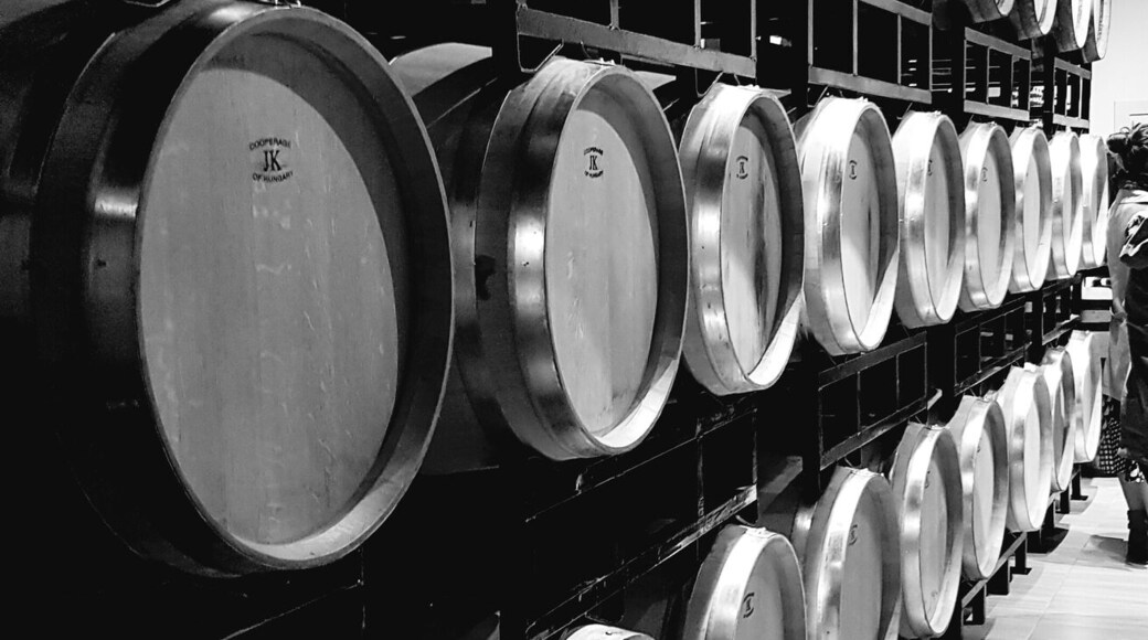 One of several good vineyards in the valley.